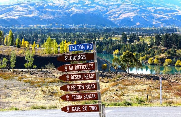 All roads lead to Pinot Noir NZ17: Roger Jones anticipates the event