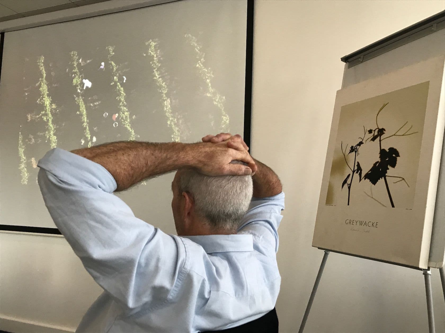 10 years of Kevin Judd going it alone at Greywacke