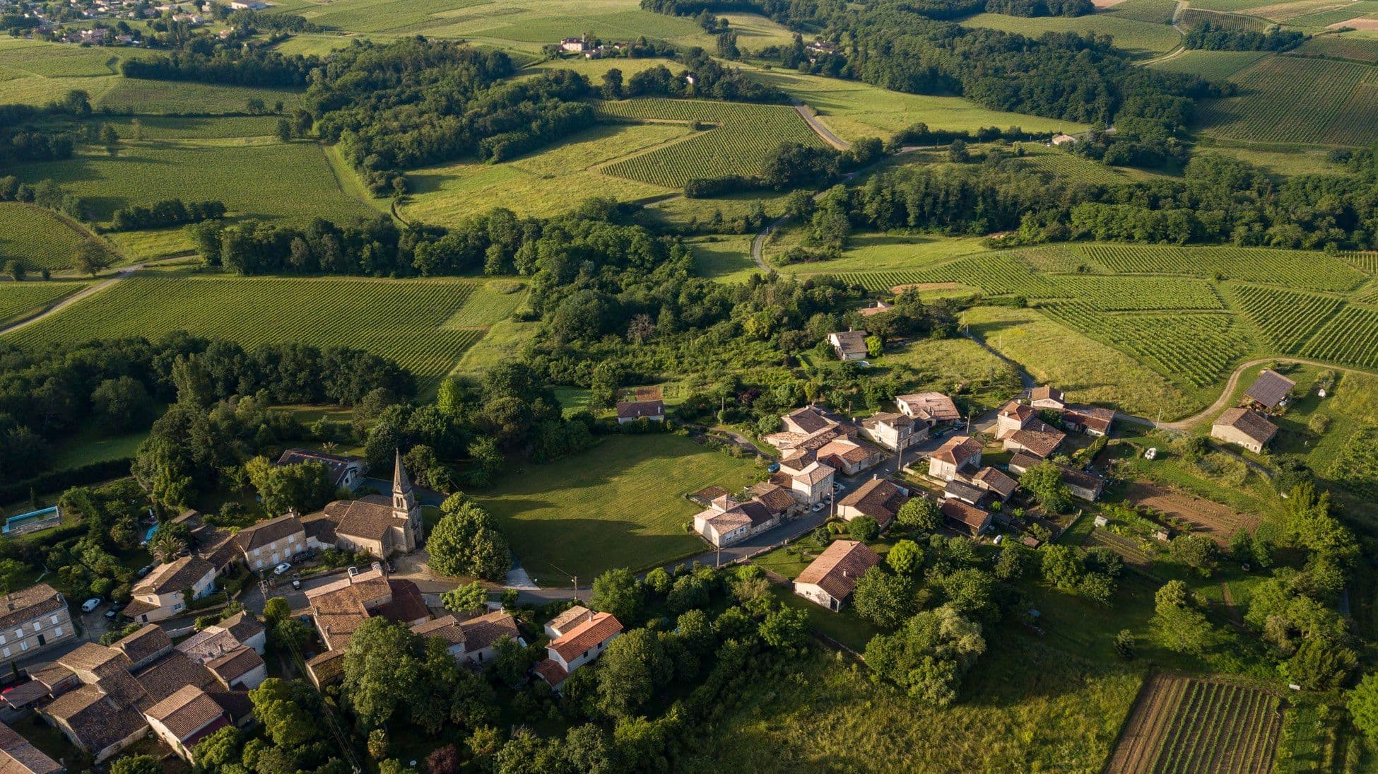 How female winemakers look to help re-invent Bordeaux wines