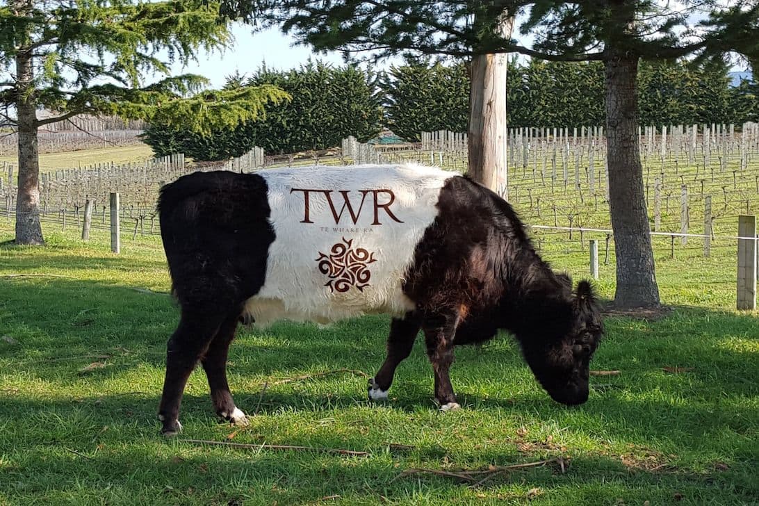 No bullshit! It’s Roger Jones on Day 3 of Pinot Noir NZ 2017