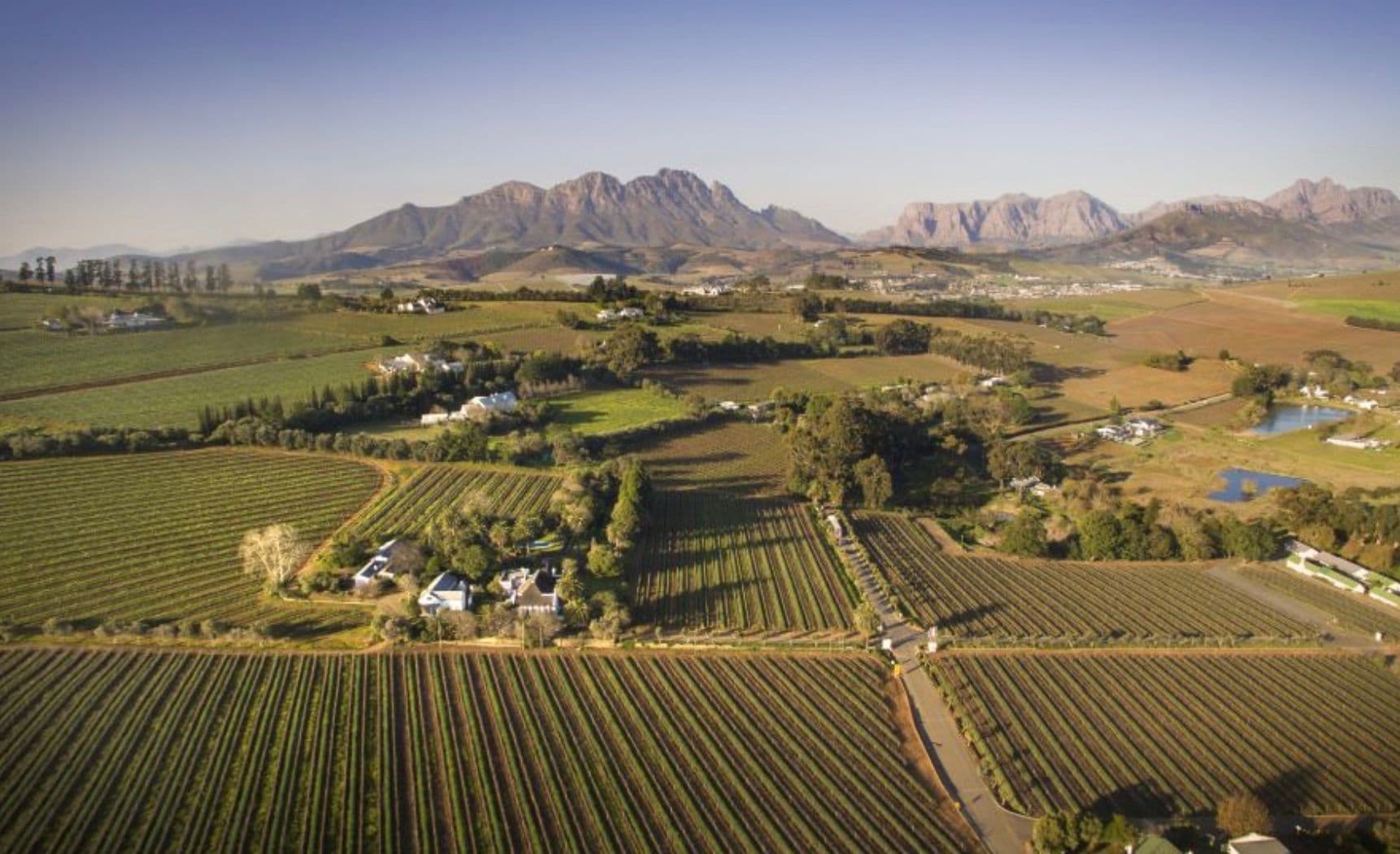 Le Grand Domaine on lifting Stellenbosch’s ‘chateau’ image