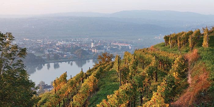 Why Blaufränkisch is in vogue – all the way down the Danube