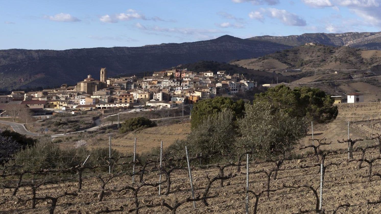 Wines from Spain prepares for Glasgow & London events