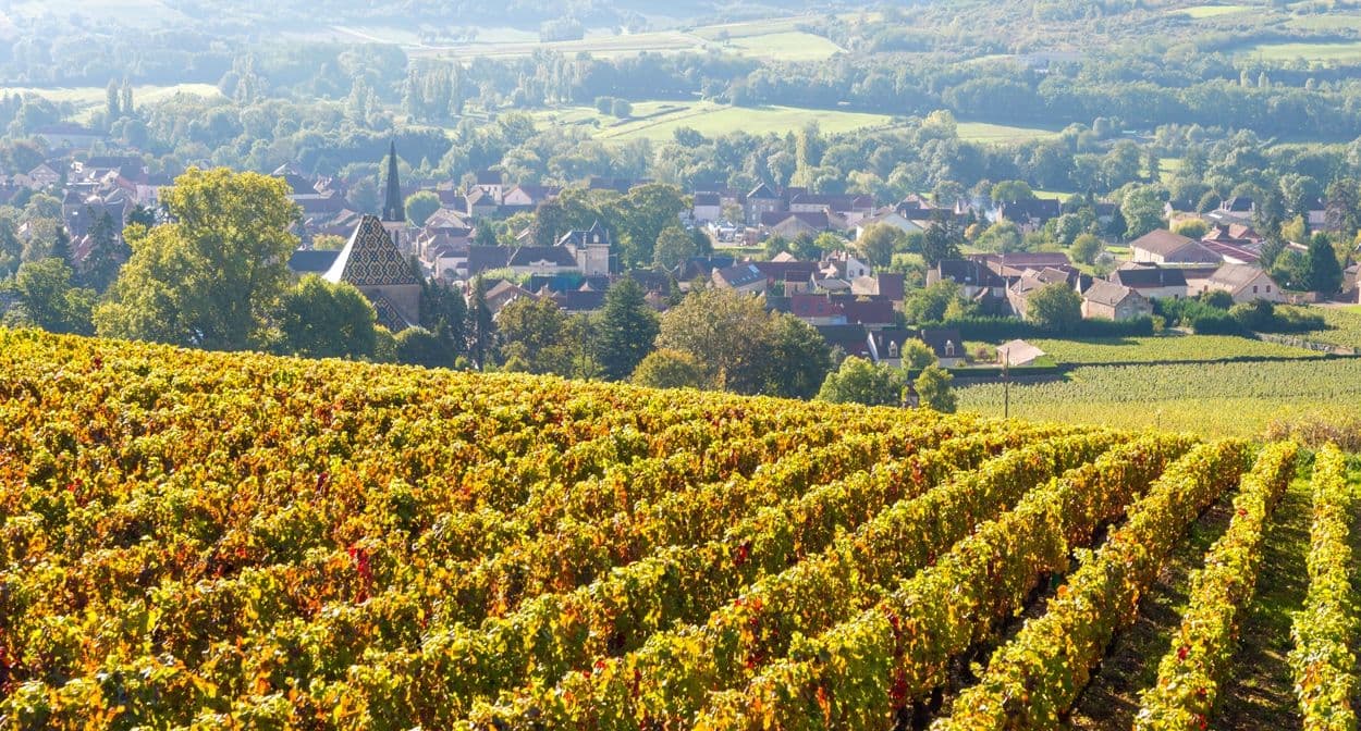 Montrachet Fine Wine on driving sales: Bourgogne Week 2020