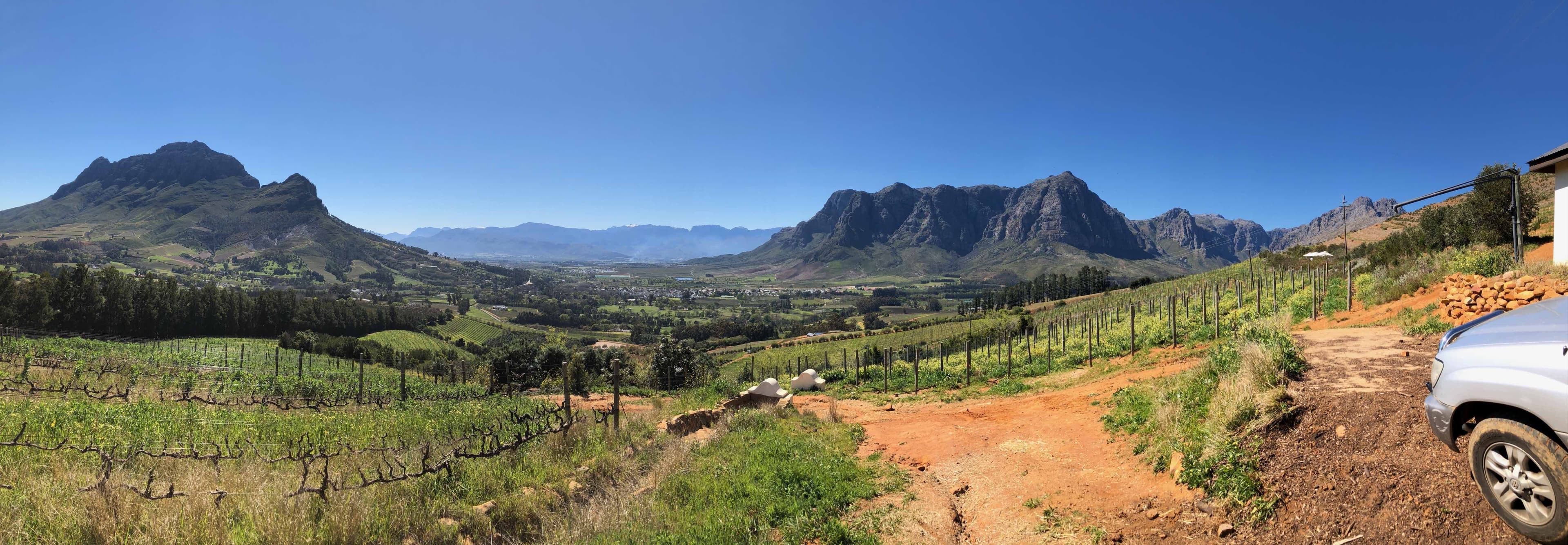 How South Africa has the confidence to reach new heights