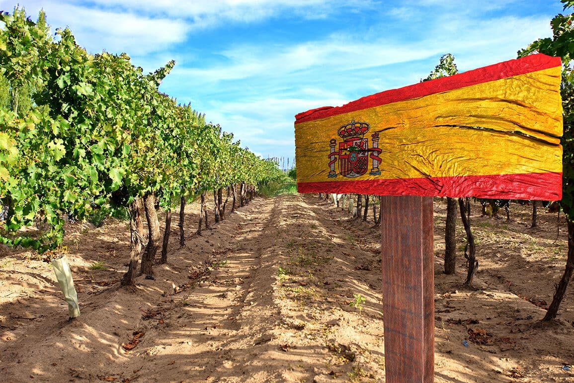 Sarah Jane Evans MW on why Spain is such a beguiling wine country