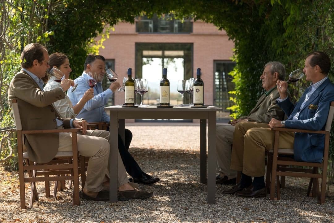 Believe the hype: how Sassicaia 2019 was made into a true classic