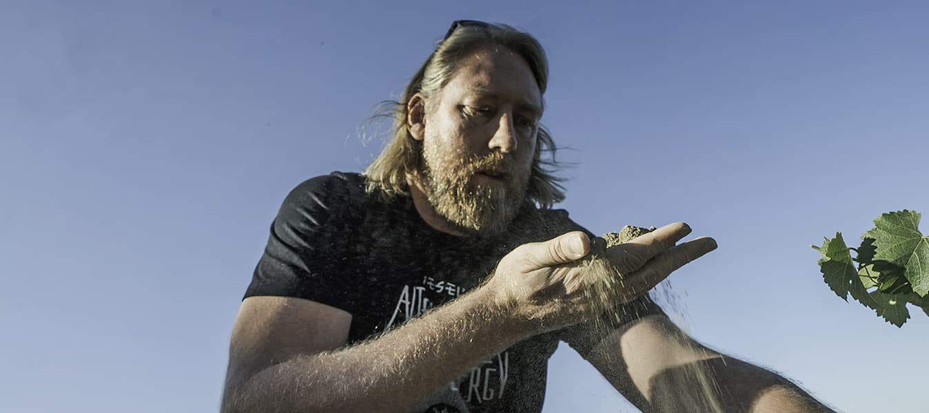 Why Rall Wines is one of the most exciting in New Wave SA