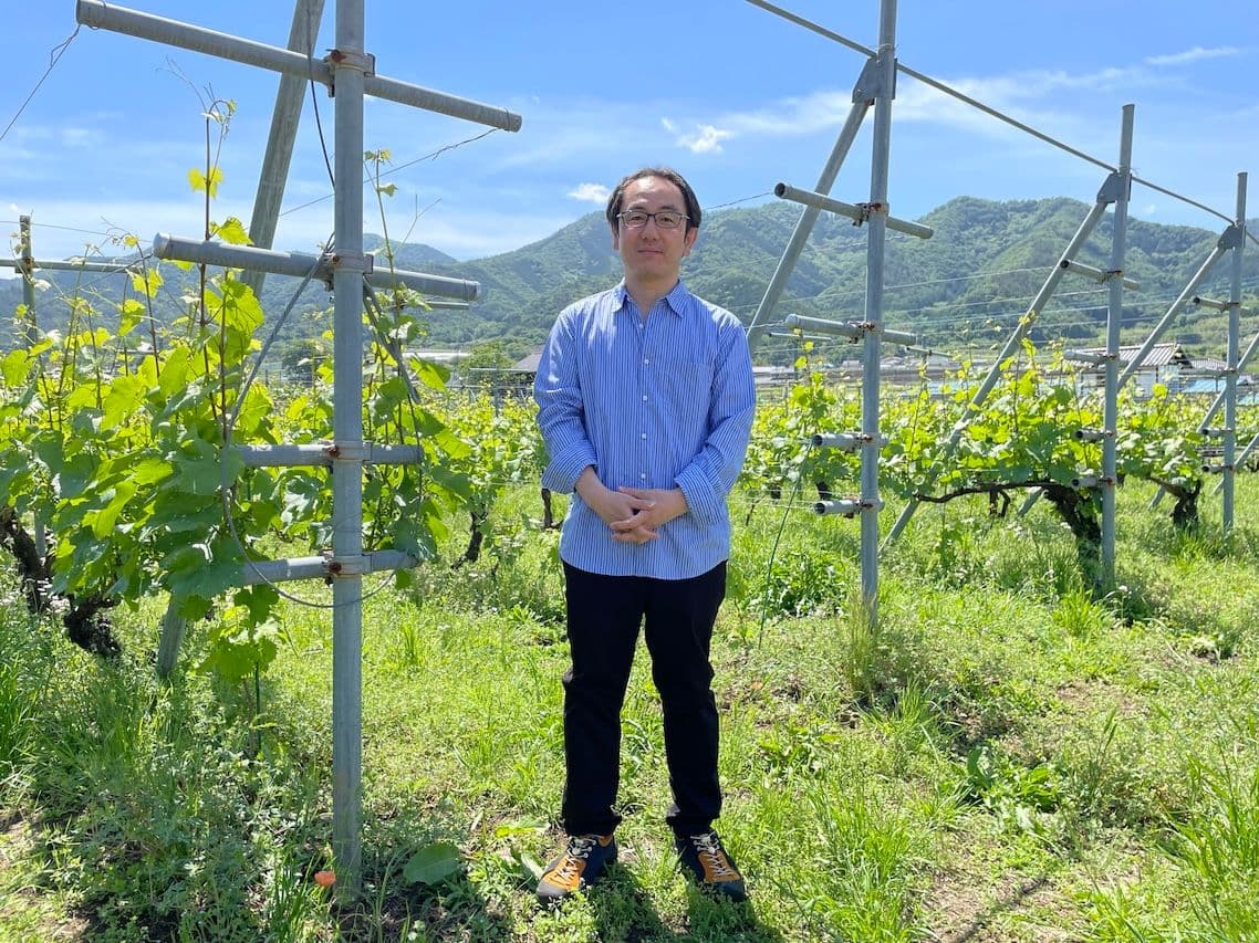 The changing face of Koshu and the move towards terroir-driven wines
