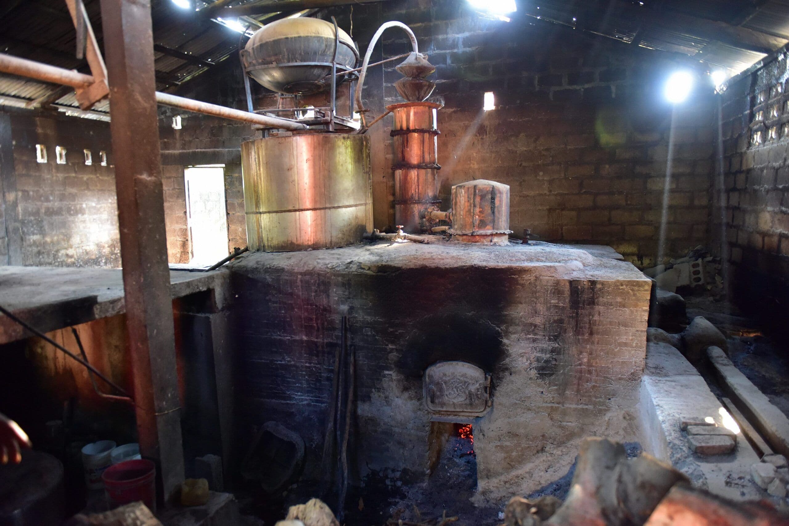 Raiders of the Lost Distilleries: Clairin & the ‘wild spirit’ of Haiti