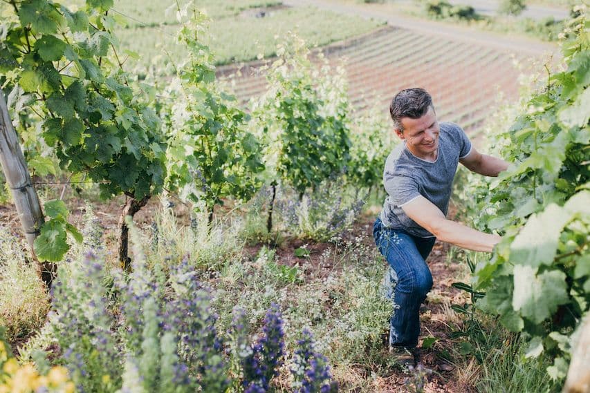 The fine balance in the Rieslings of the Nahe’s Emrich-Schönleber