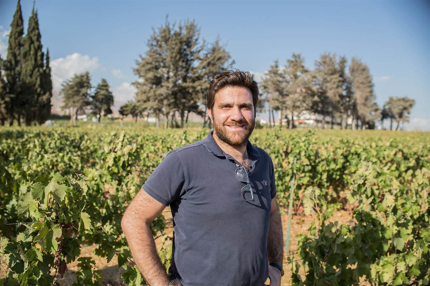Domaine des Tourelles sees Cinsault as Lebanon’s future