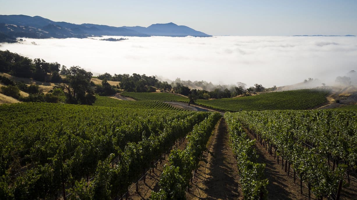Why Stonestreet is the heartbeat of Jackson Family Wines