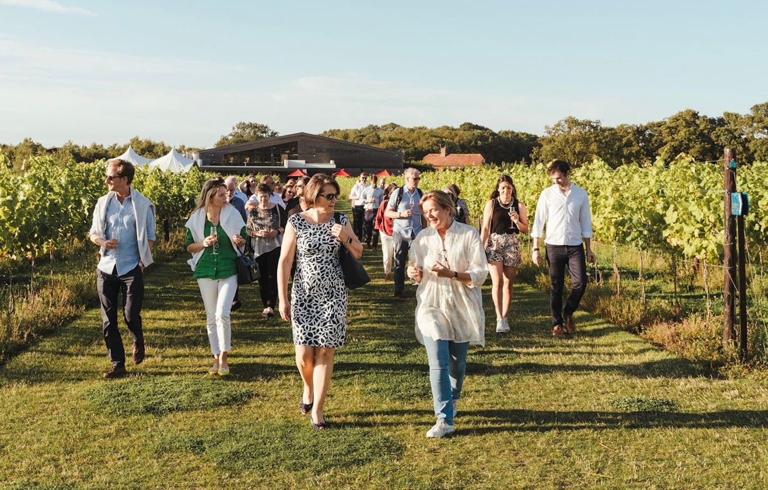 Ashley Saunders on how to make the most of English wine tourism