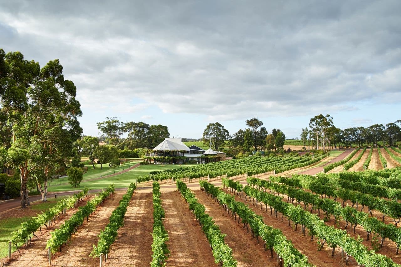 Richard Siddle: transformation of Australia’s premium wines