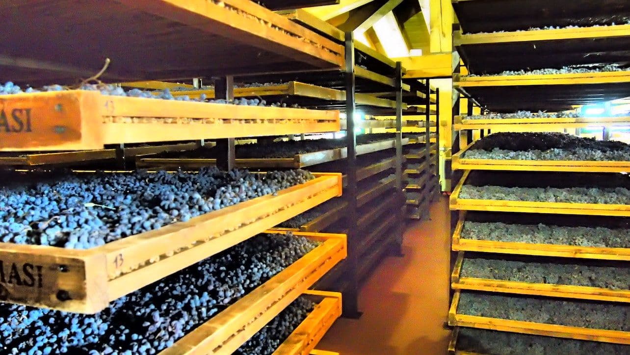 Appassimento in action: unique gallery of Masi’s winemaking
