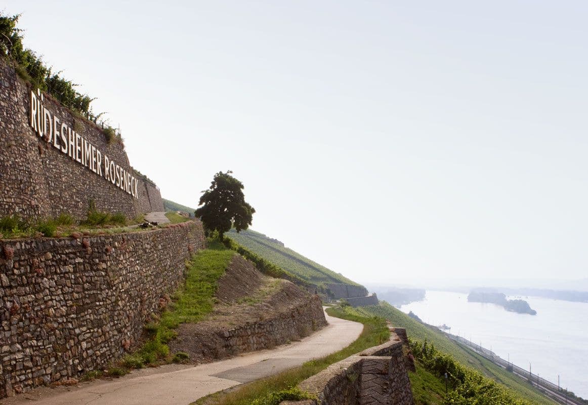 How German Riesling is coping with fashion and climate changes
