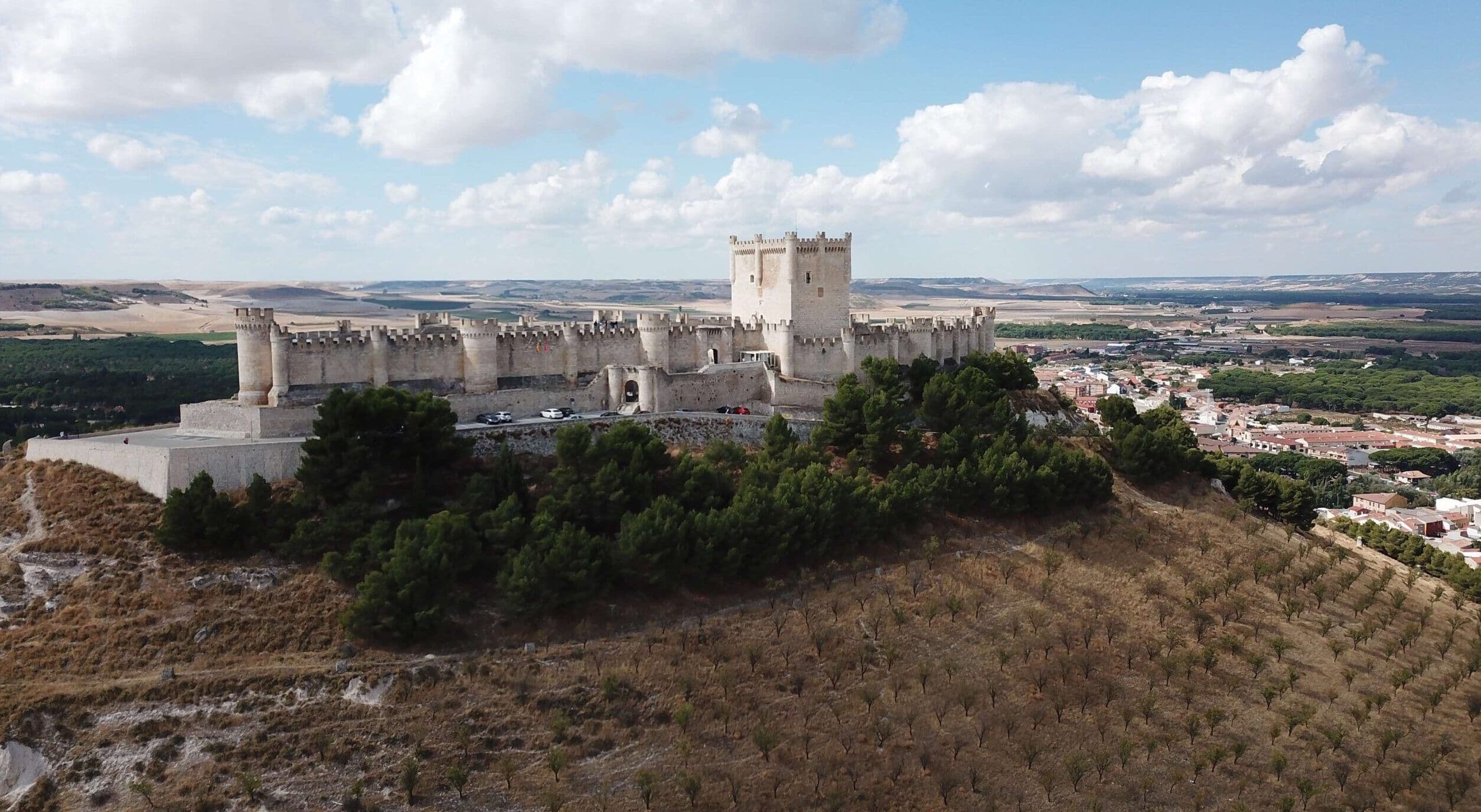 Tim Atkin MW previews his Top 100 Ribera del Duero tasting