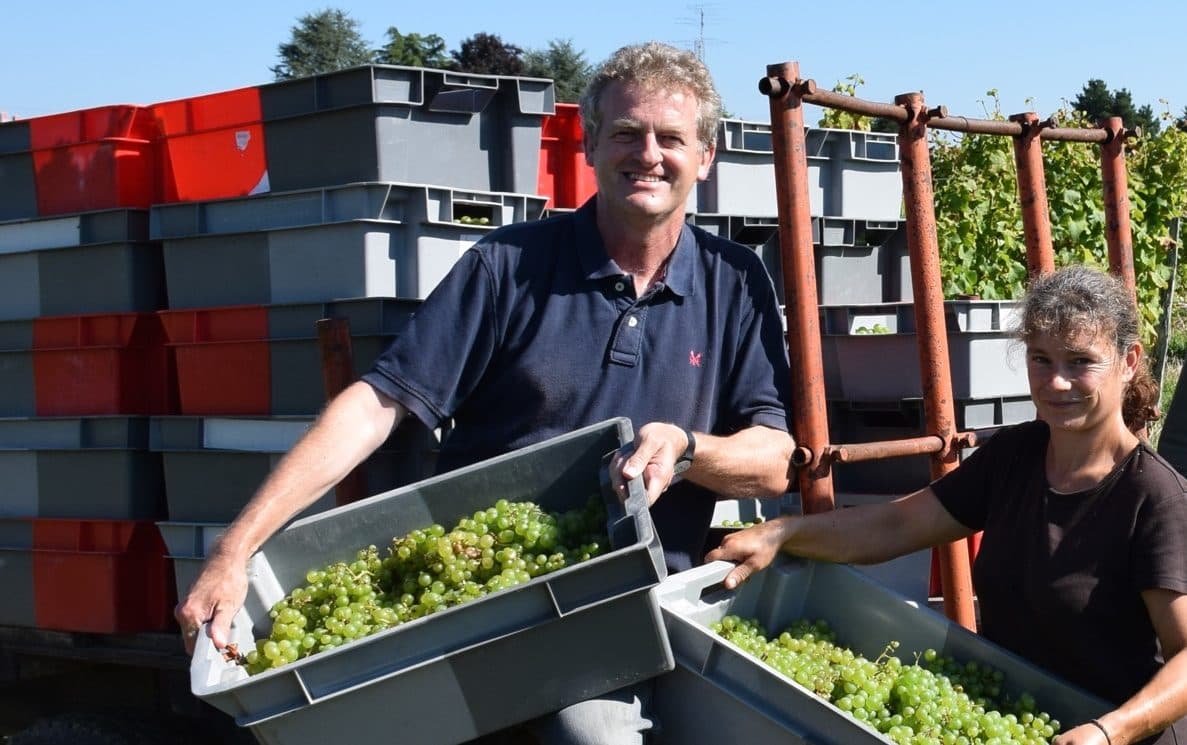 Gavin Quinney: perfect weather crafted Bordeaux’s 2016 vintage
