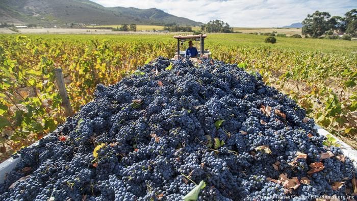 How experimental bulk wine can be the other secondary market