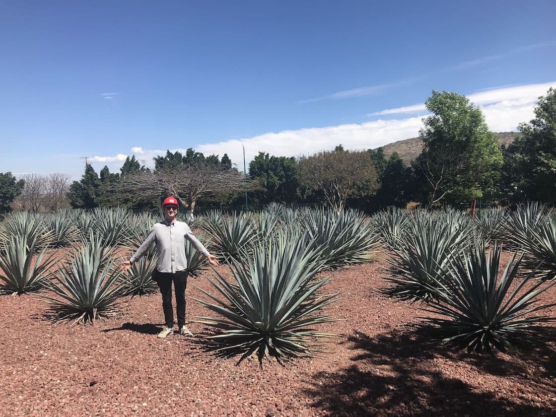 El Rayo targets spirits drinkers with its tequila-and-tonic