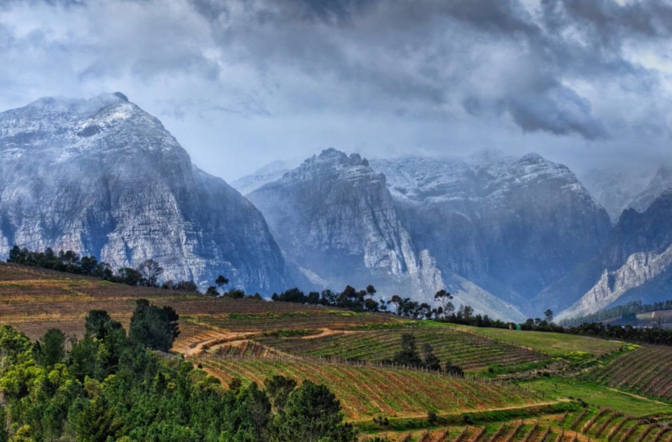 Richard Siddle: How Stellenbosch is making a new history for itself