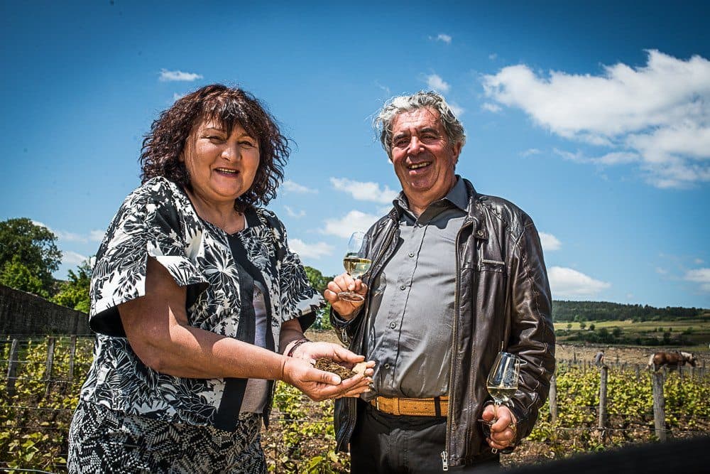 Jane Anson on why quality wine owes a lot to earthworms