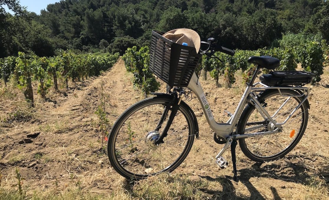 How to teach terroir with a bike: Ogier in Châteauneuf-du-Pape